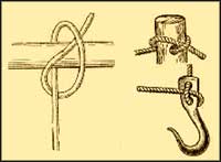 Knot