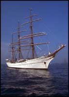 Sailing Ships