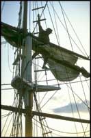 Sailing Ships