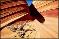 'The Wave', Paria Wilderness Area, UT