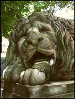 Lions of Lvov