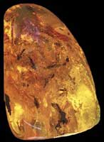 Amber